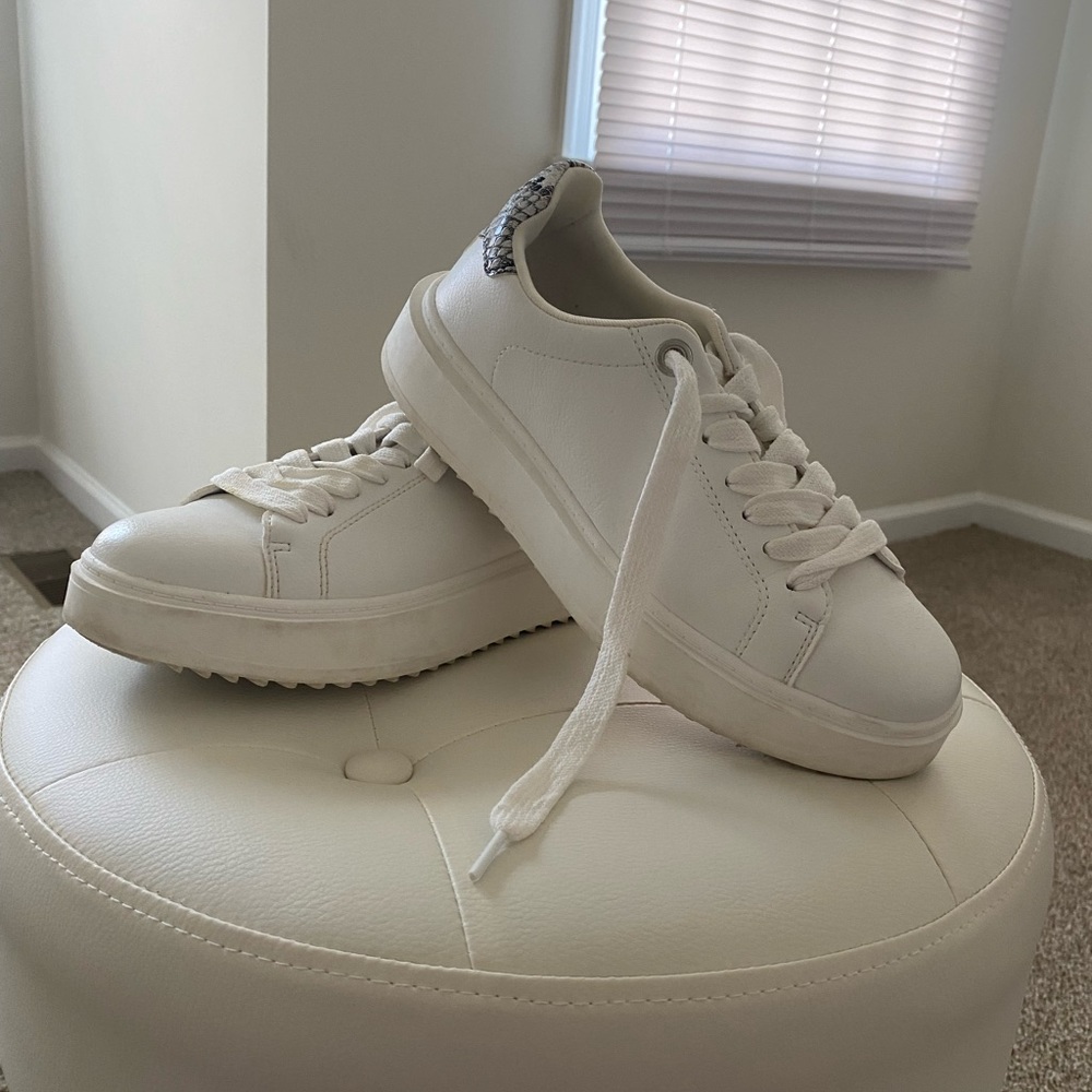Steve Madden Women's Catcher Sneaker